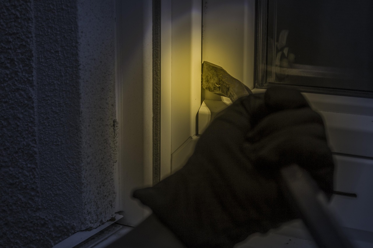 Bild zum Thema Intrusion Detection